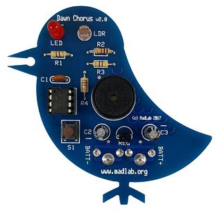 Dawn Chorus soldering kit