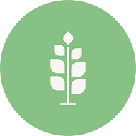 Sprig Labs logo